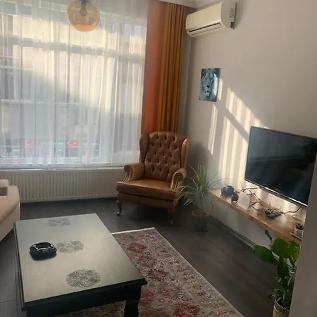 Blueberry: Comfy Apartment In Perfect Location Apartment Istanbul